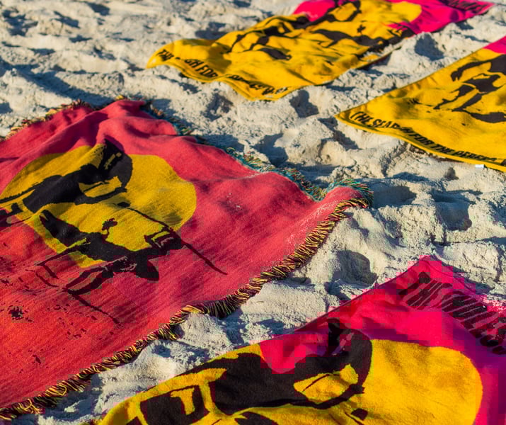 the endless summer towels and blankets